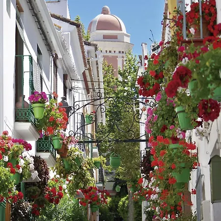 Mountain View In Solenzara Estepona